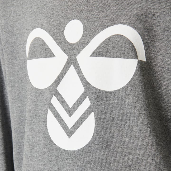 Hummel Kids' hmlCUATRO Hoodie Medium Melange Hummel