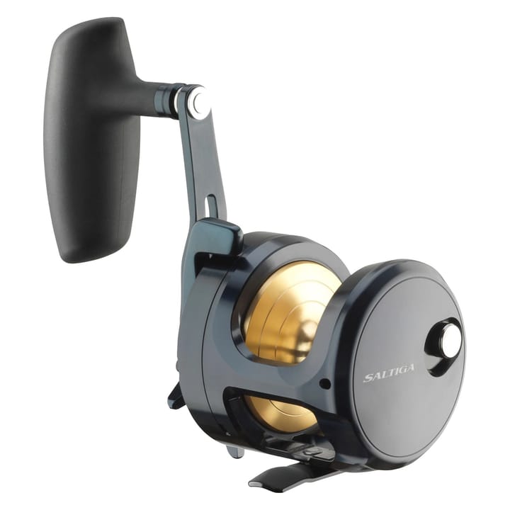 Daiwa 24 Saltiga (G) Daiwa