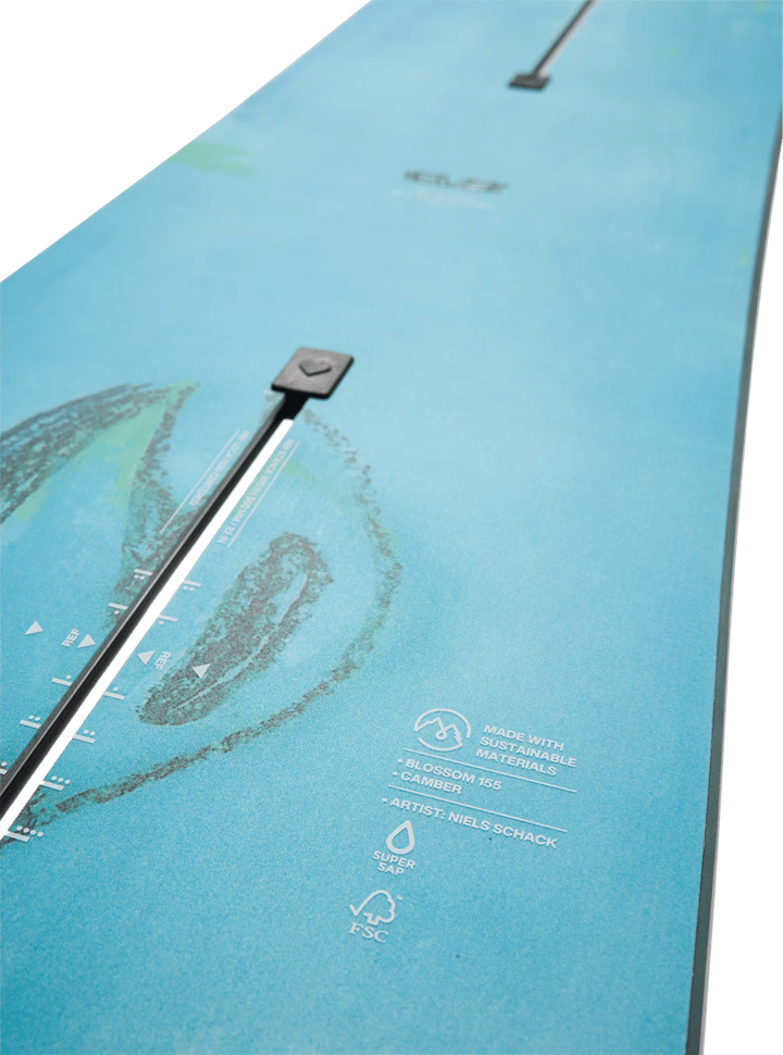 Burton Blossom Frog Burton