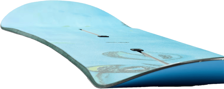 Burton Blossom Frog Burton