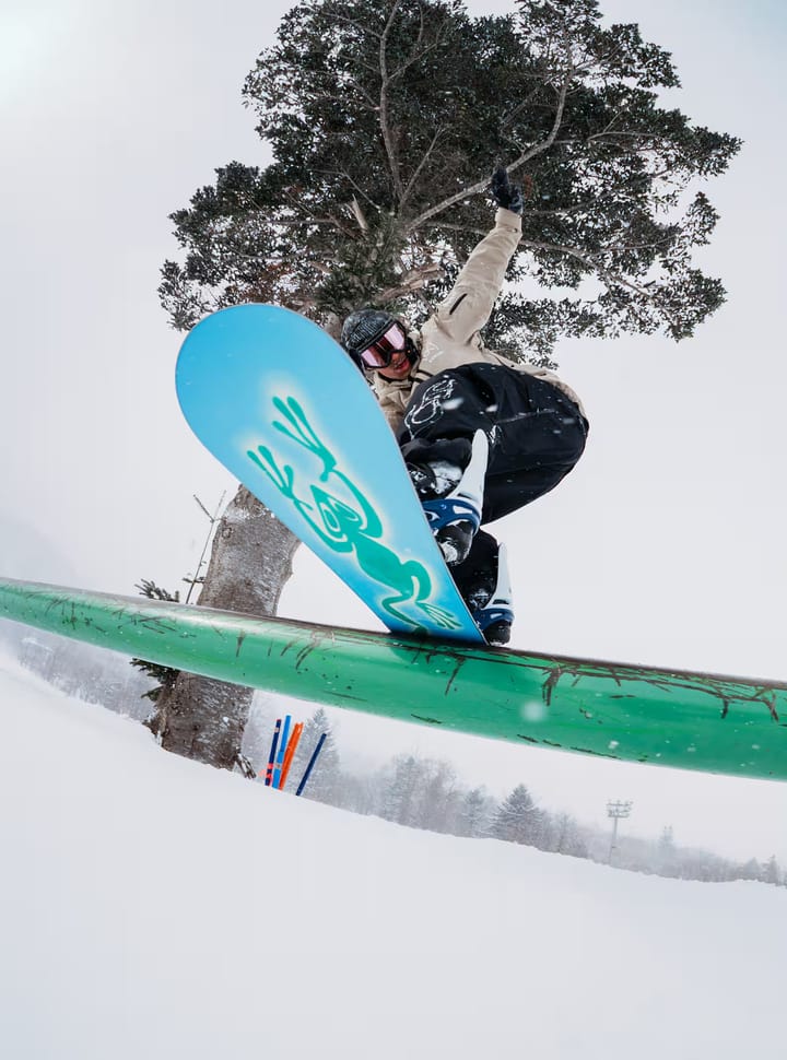 Burton Blossom Frog Burton