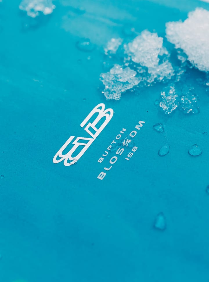 Burton Blossom Frog Burton