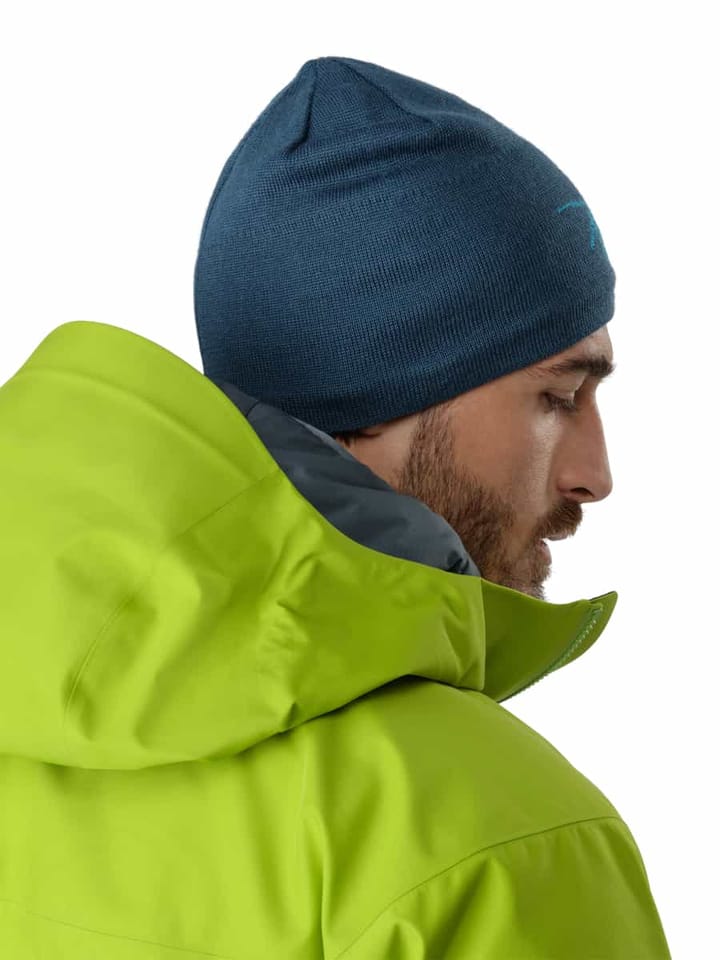Arc'teryx Bird Head Toque 24k Black Arc'teryx Arc'teryx Bird Head Toque 24k Black Arc'teryx