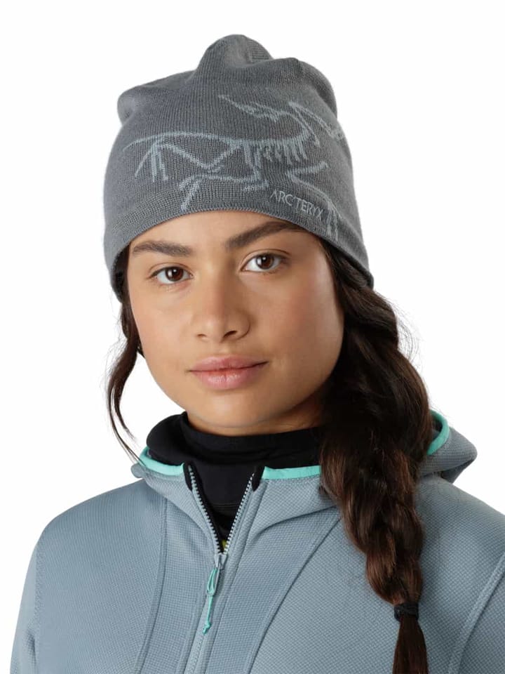 Arc'teryx Bird Head Toque 24k Black Arc'teryx Arc'teryx Bird Head Toque 24k Black Arc'teryx