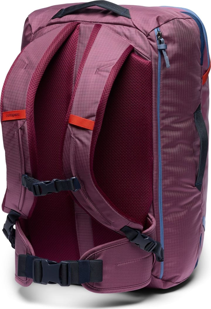 Cotopaxi Allpa 35L Travel Pack Fig Cotopaxi