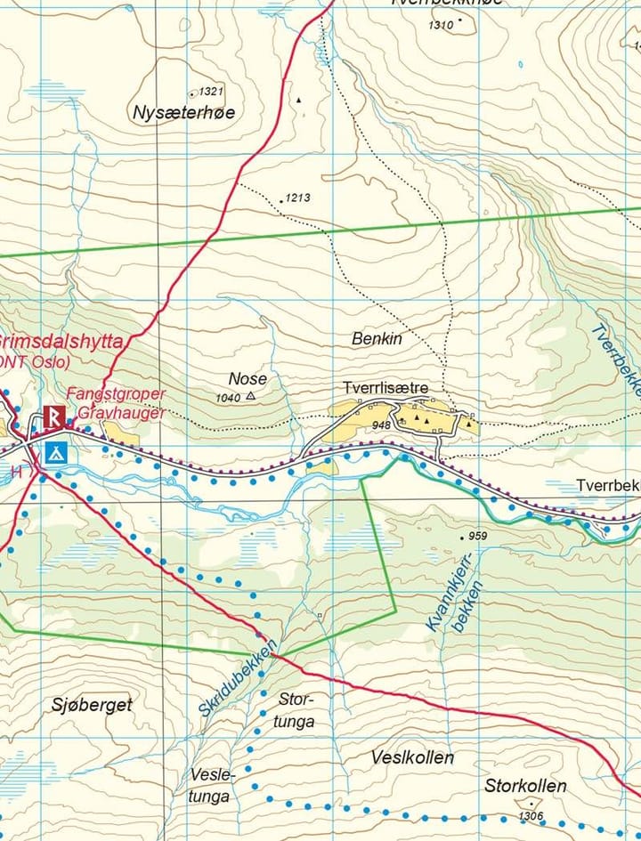 Nordeca Rondane Nord 1:50 000 Turkart Ugland IT