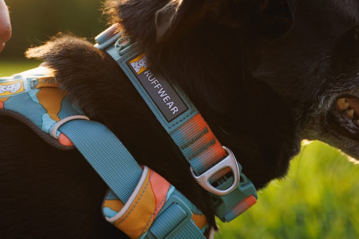 Ruffwear Front Range™ Collar Blue Pool Ruffwear
