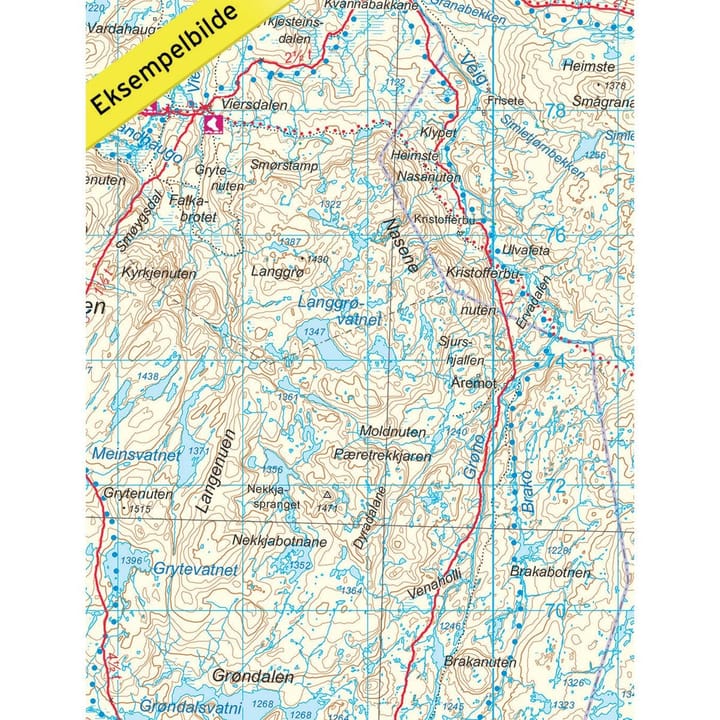 Nordeca Hardangervidda Vest 1:100 000 Turkart Ugland IT