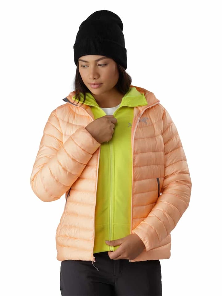 Arc'teryx Cerium LT Hoody Women's Black Arc'teryx