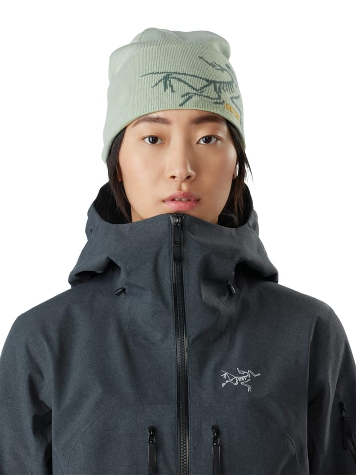 Arc'teryx Bird Head Toque Anecdote/Tatsu Arc'teryx Arc'teryx Bird Head Toque Anecdote/Tatsu Arc'teryx