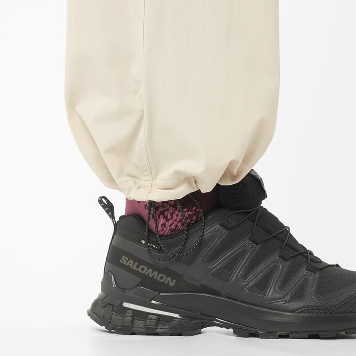Salomon Wayfarer Ease 2.0 Pants W Silver Cloud/ Salomon