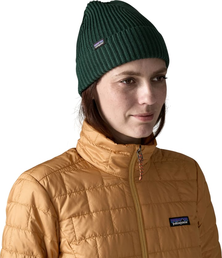 Patagonia Fisherman's Rolled Beanie Cascade Green Patagonia