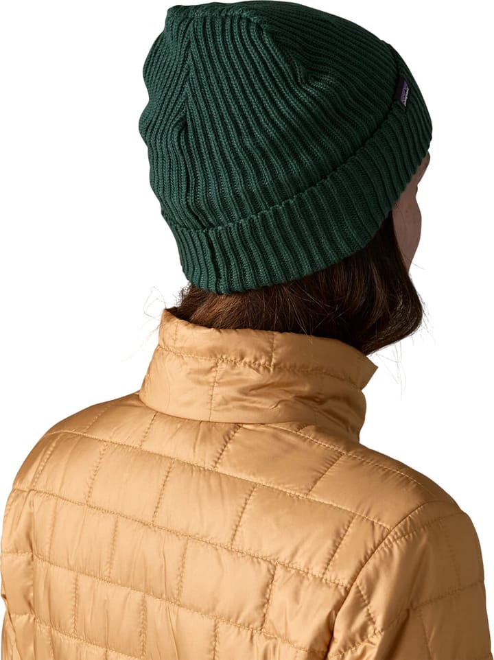 Patagonia Fisherman's Rolled Beanie Cascade Green Patagonia Patagonia Fisherman's Rolled Beanie Cascade Green Patagonia