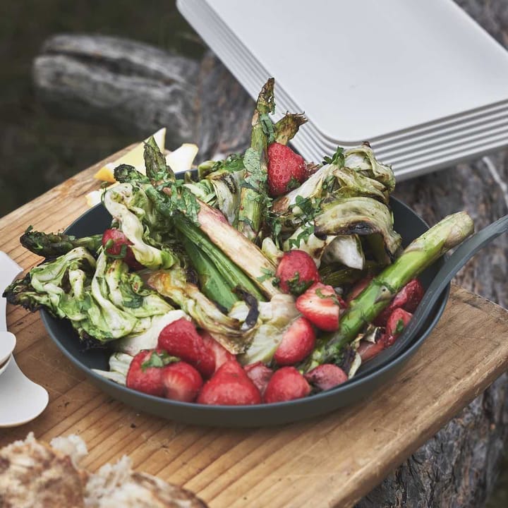 Light My Fire Ramen Plate 4-Pack Sagegreen Light My Fire