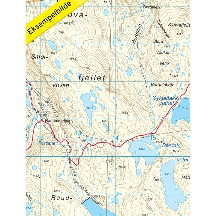 Nordeca Hallingskarvet Nasjonalpark 1:50 000 Topo 3000 Ugland IT