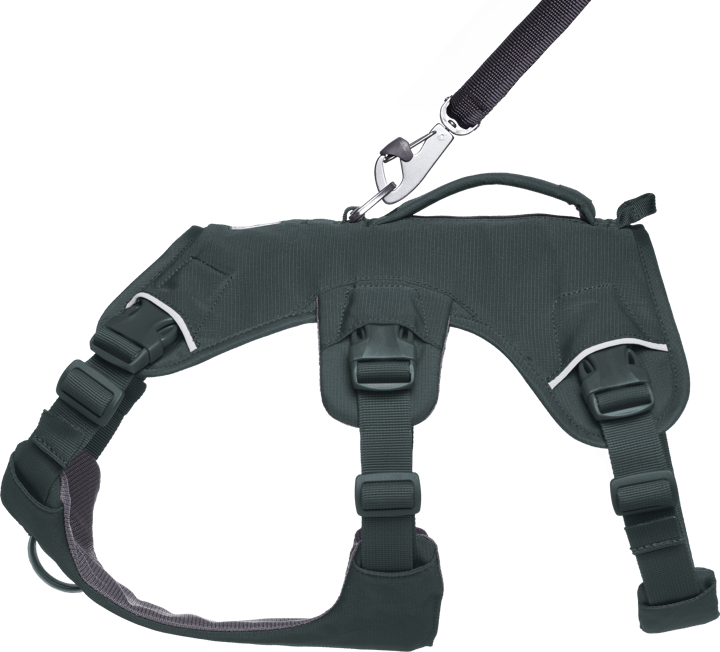 Ruffwear Web Master Dog Harness with Handle Basalt Gray Ruffwear