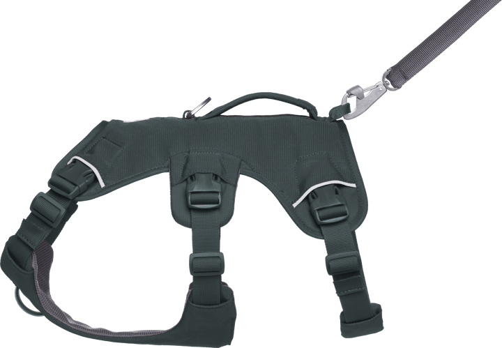 Ruffwear Web Master Dog Harness with Handle Basalt Gray Ruffwear