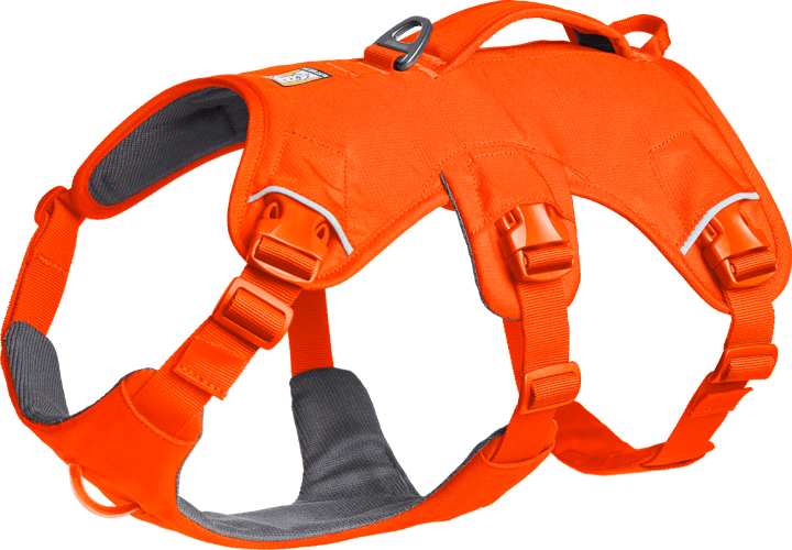 Ruffwear Web Master Dog Harness with Handle Blaze Orange Ruffwear