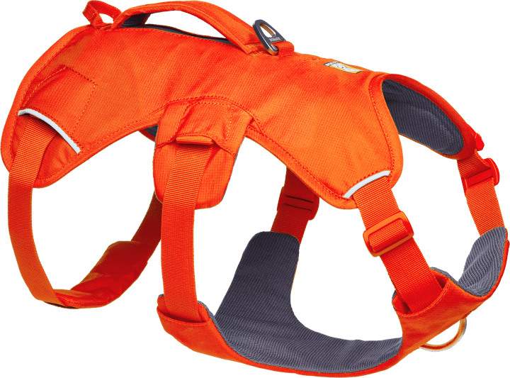 Ruffwear Web Master Dog Harness with Handle Blaze Orange Ruffwear