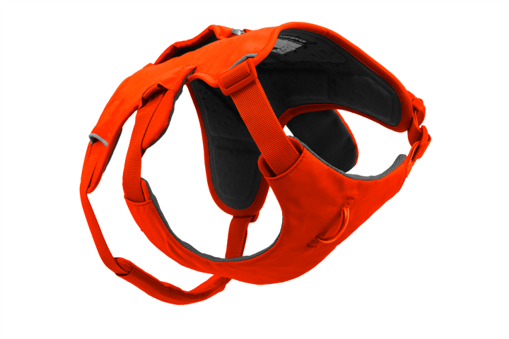 Ruffwear Web Master Dog Harness with Handle Blaze Orange Ruffwear