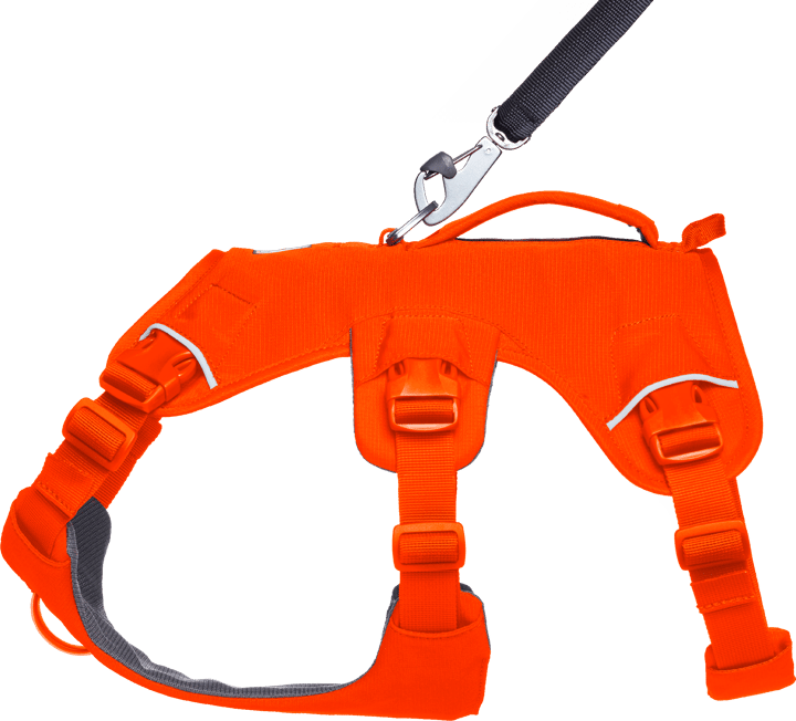 Ruffwear Web Master Dog Harness with Handle Blaze Orange Ruffwear