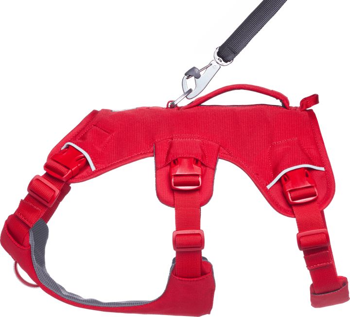 Ruffwear Web Master Dog Harness with Handle Red Canyon Ruffwear