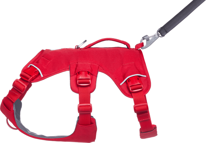 Ruffwear Web Master Dog Harness with Handle Red Canyon Ruffwear