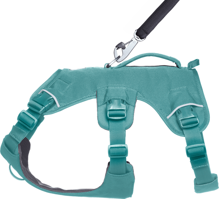 Ruffwear Web Master Dog Harness with Handle River Rock Green Ruffwear