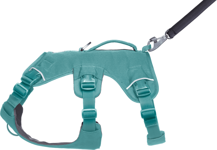 Ruffwear Web Master Dog Harness with Handle River Rock Green Ruffwear
