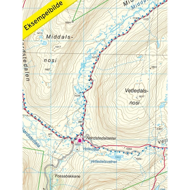 Nordeca Breheimen 1:50 000 Topo 3000 Ugland IT