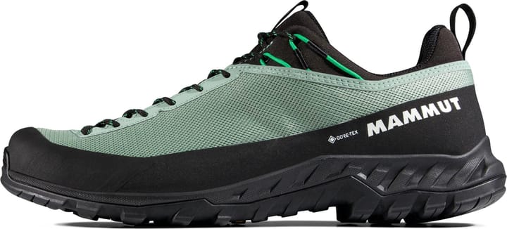 Mammut Men's Alnasca Iv Low Gtx  Deep Silver Sage-pinea Mammut