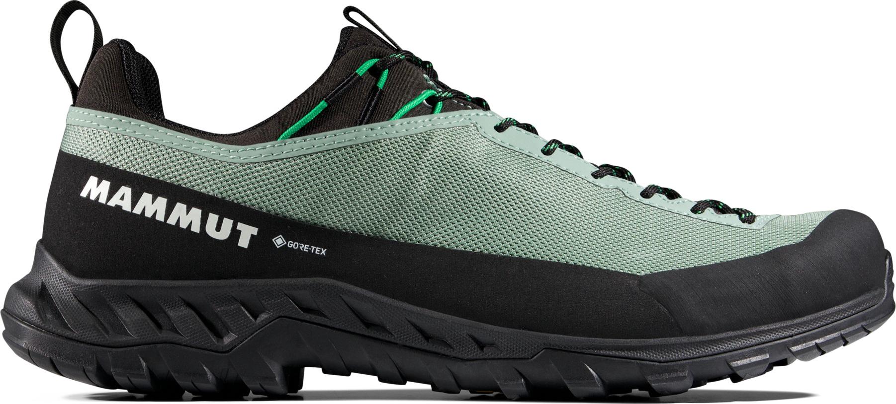 Mammut Men's Alnasca Iv Low Gtx