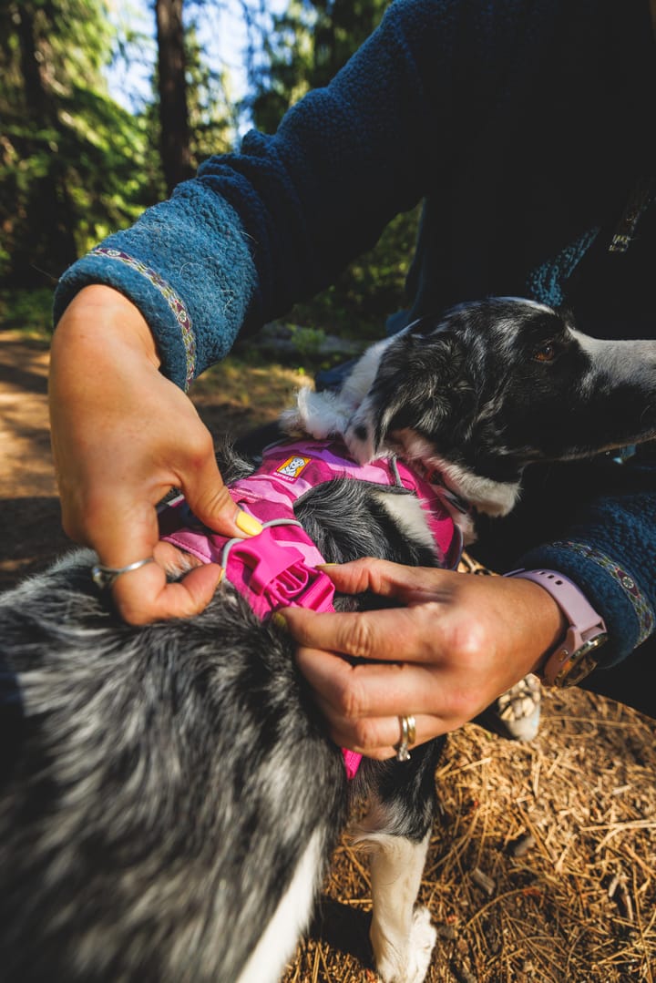 Ruffwear Front Range Harness Pink Mountains Ruffwear
