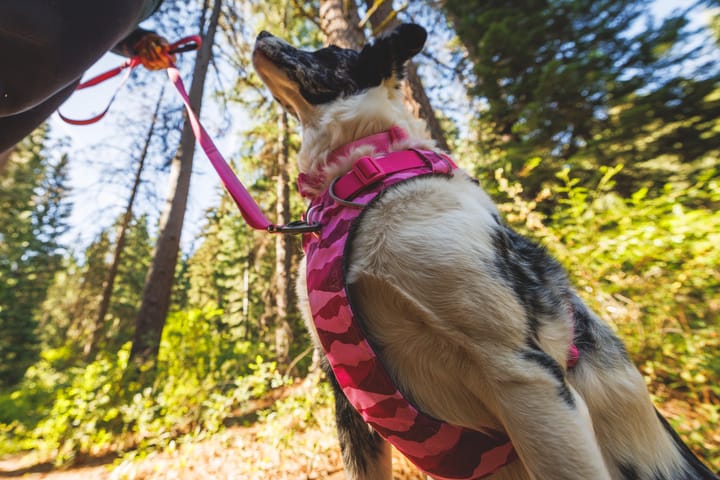 Ruffwear Front Range Harness Pink Mountains Ruffwear