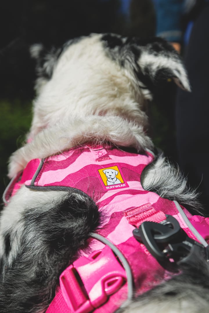 Ruffwear Front Range Harness Pink Mountains Ruffwear