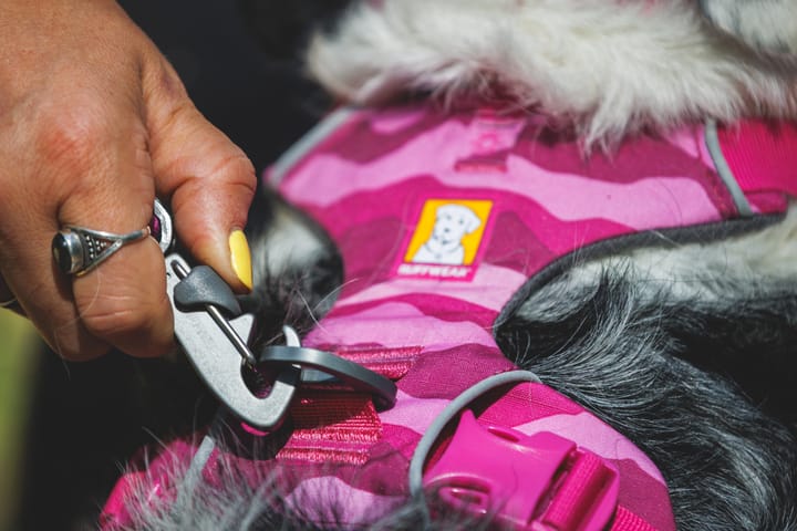 Ruffwear Front Range Harness Pink Mountains Ruffwear