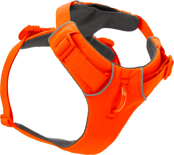 Ruffwear Front Range Harness Blaze Orange Ruffwear