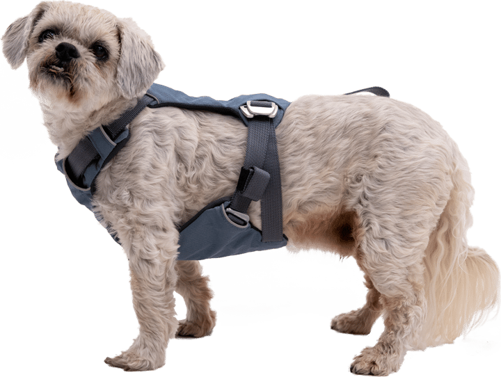 Ruffwear Load Up Dog Car Harness Slate Blue Ruffwear