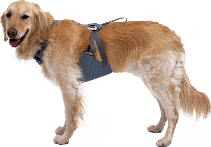 Ruffwear Load Up Dog Car Harness Slate Blue Ruffwear