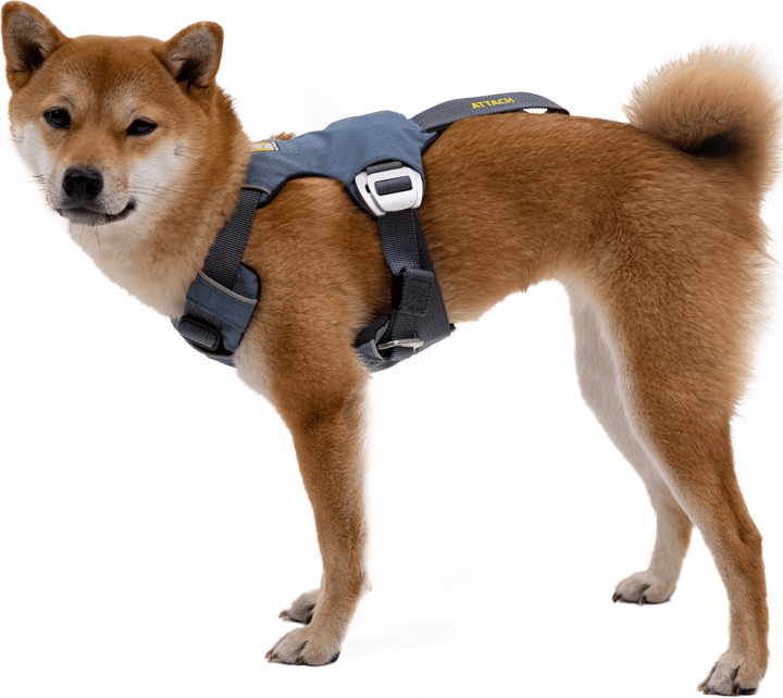 Ruffwear Load Up Dog Car Harness Slate Blue Ruffwear