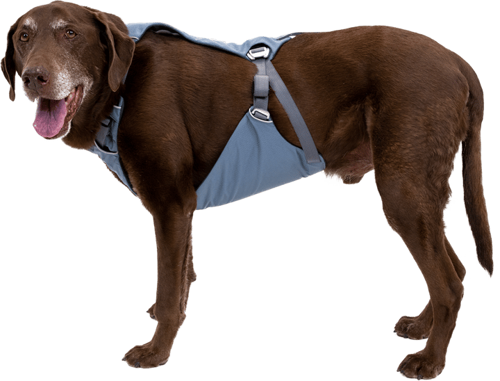 Ruffwear Load Up Dog Car Harness Slate Blue Ruffwear
