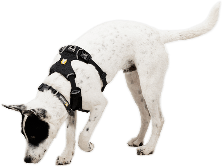 Ruffwear Front Range Flex Harness Basalt Gray Ruffwear