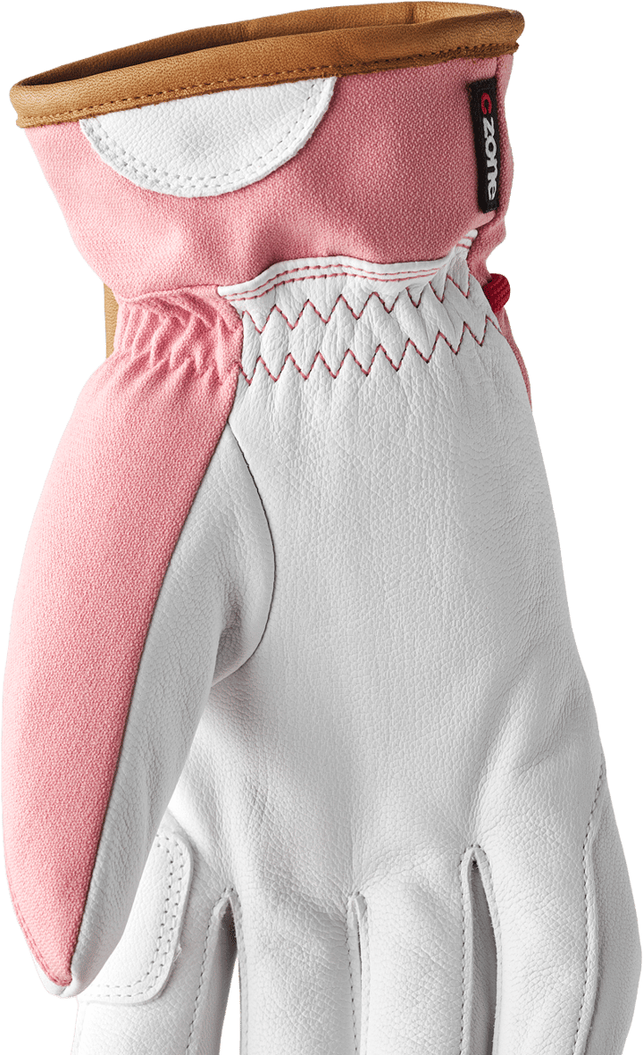 Hestra Women's Voss Czone - 5 Finger Candy Hestra