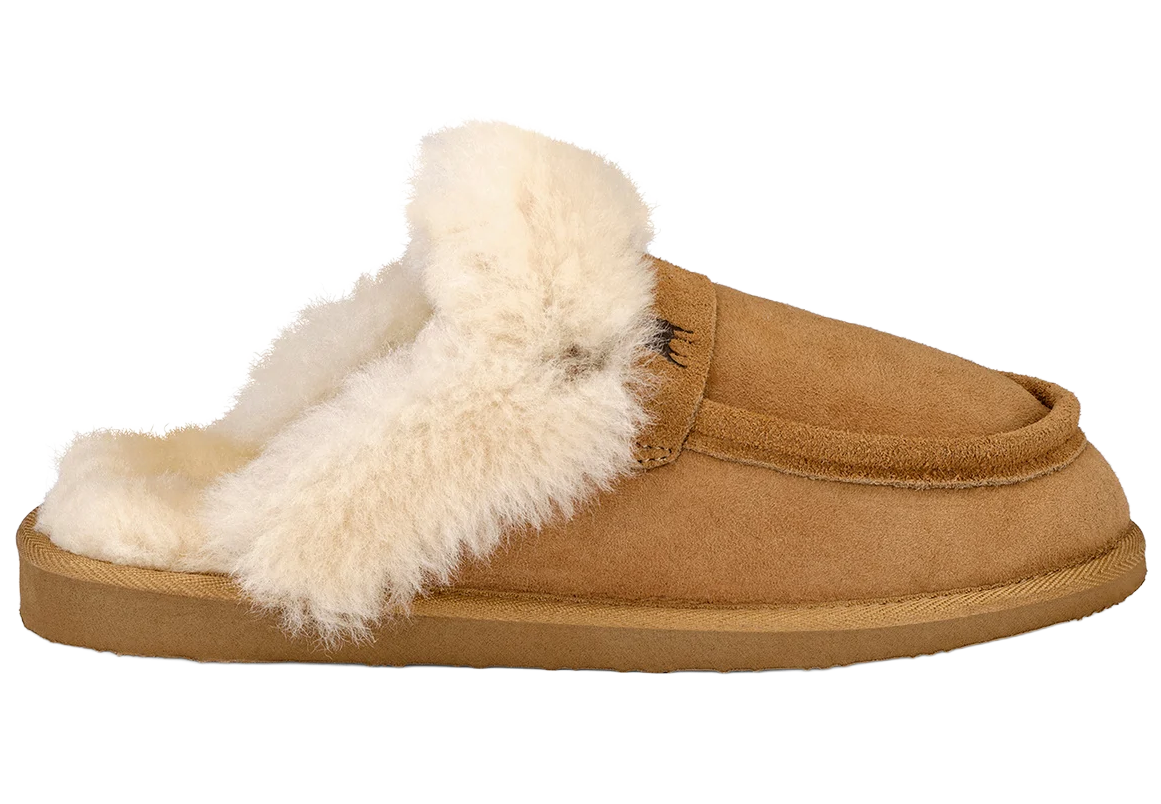 Chestnut 1