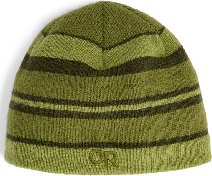 Outdoor Research Men's Spitsbergen Beanie Willow/rainfor Outdoor Research