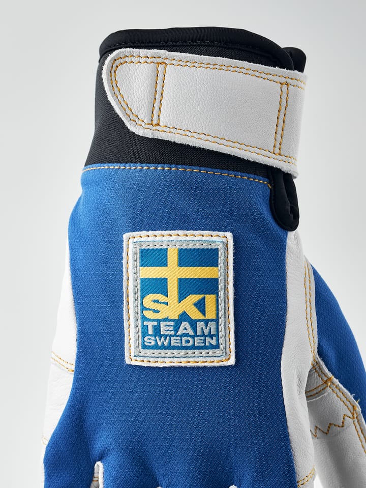 Hestra Ergo Grip Active Royal Blue/Yellow Hestra