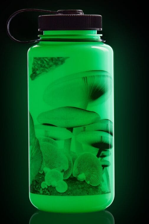 Nalgene 1 L Wm Bottle Glow With Black Mushrooms Nalgene