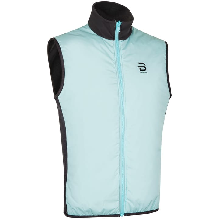 Dæhlie Jacket Raw 4.0 Nine Iron Dæhlie Sportswear