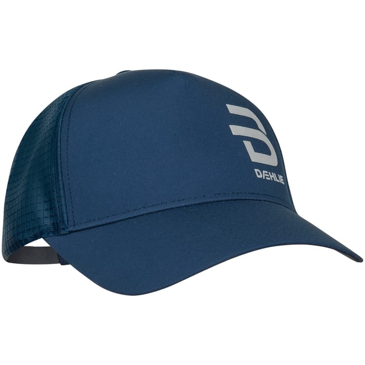 Dæhlie Caps Recovery Navy Dæhlie Sportswear