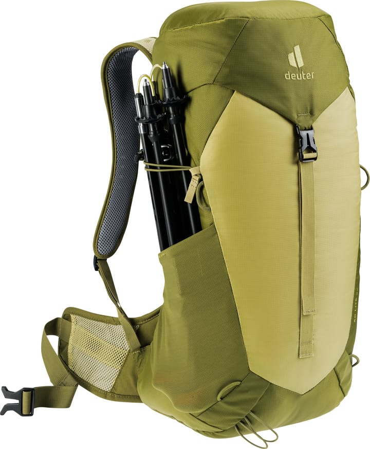 Deuter Ac Lite 24 Linden-Cactus Deuter